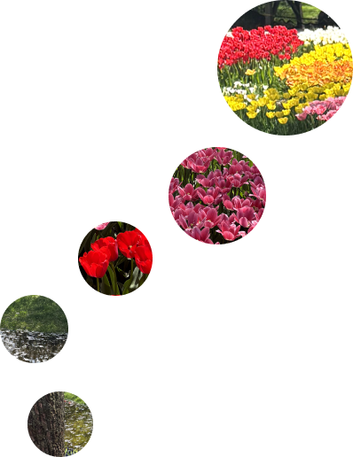 afternoon_colorcircle3