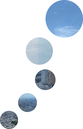 morning_colorcircle1