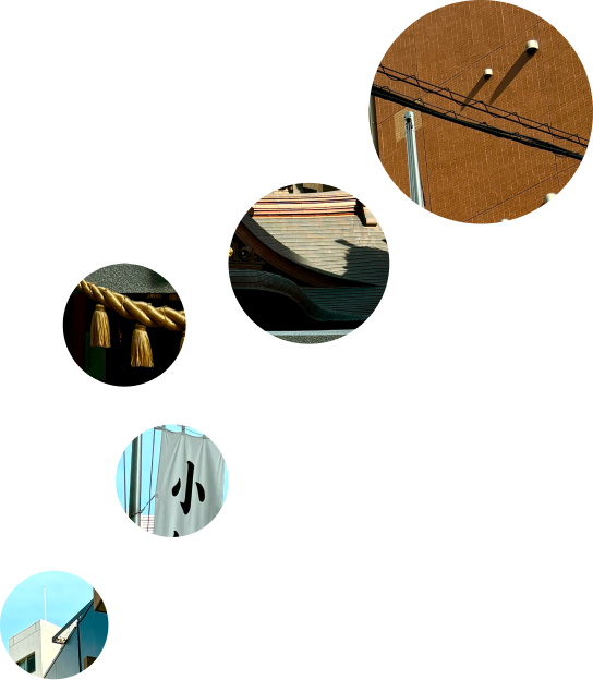 morning_colorcircle3